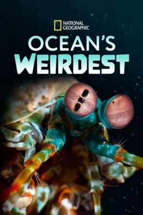 Ocean’s Weirdest