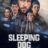 Sleeping Dog : 1.Sezon 1.Bölüm izle